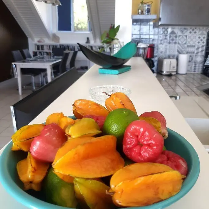 L'Arbre Aux Papillons, Marina De Rivieres-Sens Apartamento Gourbeyre 0*,  Guadalupe